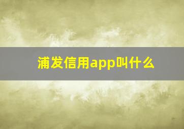 浦发信用app叫什么