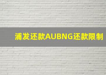 浦发还款AUBNG还款限制