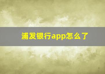 浦发银行app怎么了