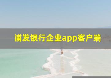 浦发银行企业app客户端