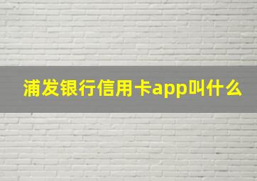 浦发银行信用卡app叫什么