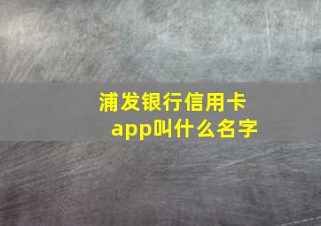 浦发银行信用卡app叫什么名字