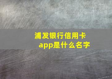 浦发银行信用卡app是什么名字