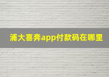 浦大喜奔app付款码在哪里