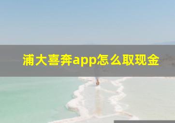 浦大喜奔app怎么取现金