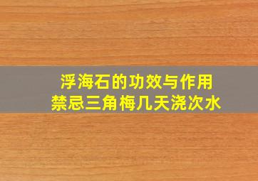 浮海石的功效与作用禁忌三角梅几天浇次水