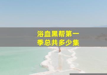 浴血黑帮第一季总共多少集