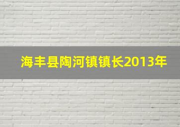 海丰县陶河镇镇长2013年