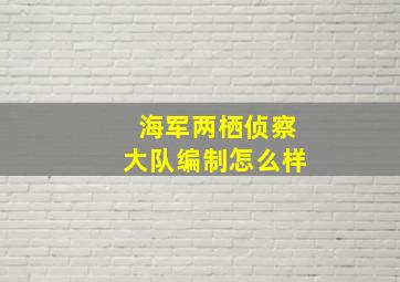 海军两栖侦察大队编制怎么样