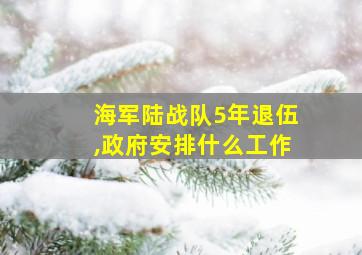 海军陆战队5年退伍,政府安排什么工作