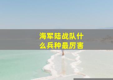 海军陆战队什么兵种最厉害