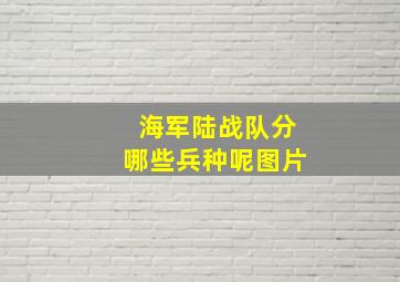 海军陆战队分哪些兵种呢图片