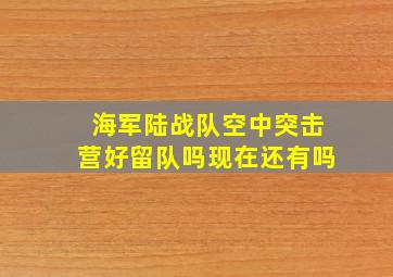 海军陆战队空中突击营好留队吗现在还有吗