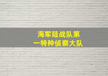 海军陆战队第一特种侦察大队