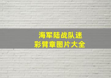 海军陆战队迷彩臂章图片大全