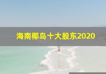 海南椰岛十大股东2020