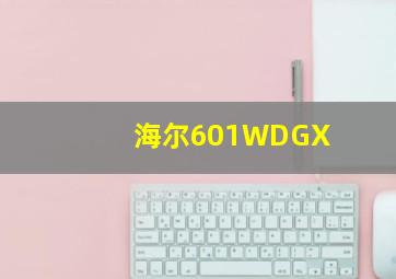 海尔601WDGX