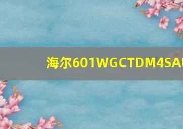 海尔601WGCTDM4SAU1