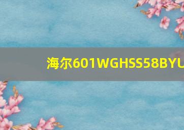 海尔601WGHSS58BYU1