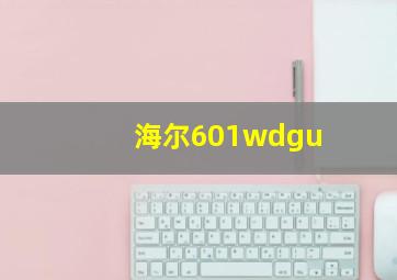 海尔601wdgu