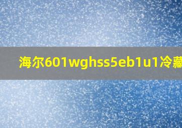 海尔601wghss5eb1u1冷藏抽屉