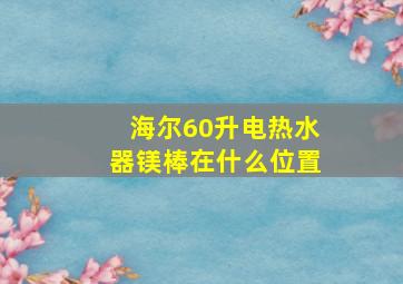 海尔60升电热水器镁棒在什么位置