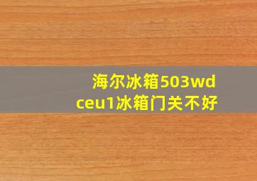 海尔冰箱503wdceu1冰箱门关不好