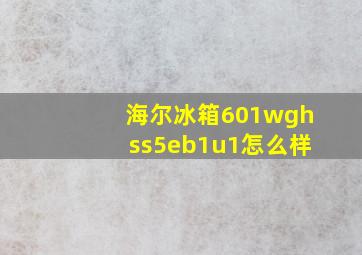 海尔冰箱601wghss5eb1u1怎么样