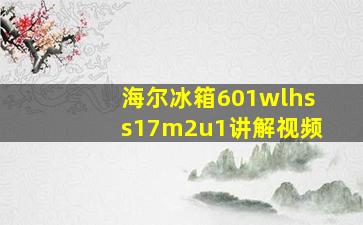 海尔冰箱601wlhss17m2u1讲解视频