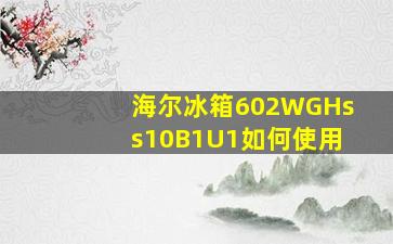 海尔冰箱602WGHss10B1U1如何使用