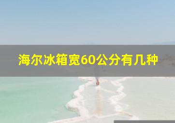 海尔冰箱宽60公分有几种