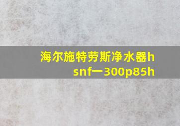 海尔施特劳斯净水器hsnf一300p85h