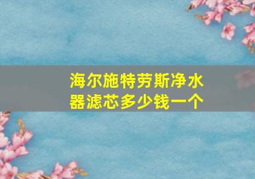 海尔施特劳斯净水器滤芯多少钱一个