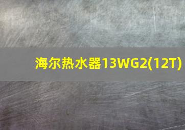 海尔热水器13WG2(12T)