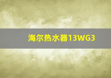 海尔热水器13WG3