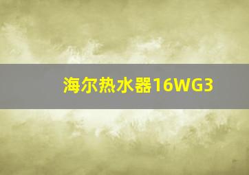 海尔热水器16WG3