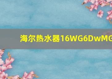 海尔热水器16WG6DwMGU1