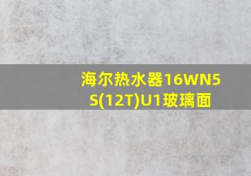 海尔热水器16WN5S(12T)U1玻璃面