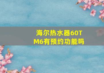 海尔热水器60TM6有预约功能吗