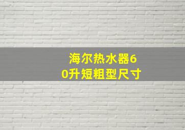 海尔热水器60升短粗型尺寸