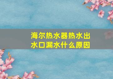 海尔热水器热水出水口漏水什么原因