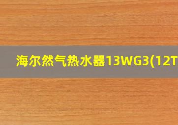 海尔然气热水器13WG3(12T)U1