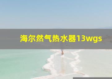 海尔然气热水器13wgs