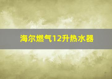 海尔燃气12升热水器