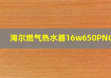 海尔燃气热水器16w650PNCV11