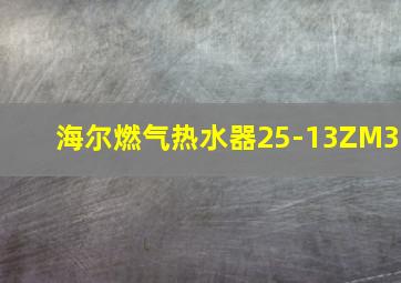 海尔燃气热水器25-13ZM3