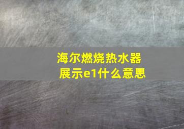 海尔燃烧热水器展示e1什么意思