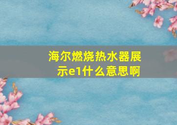 海尔燃烧热水器展示e1什么意思啊