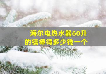 海尔电热水器60升的镁棒得多少钱一个