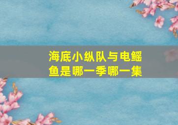 海底小纵队与电鳐鱼是哪一季哪一集